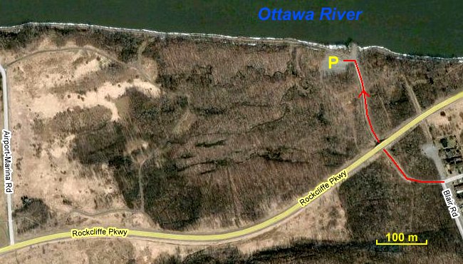 Google Satellite Map of the Airbase Woods Area